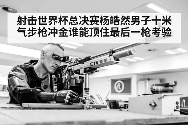 air rifle shooting competition